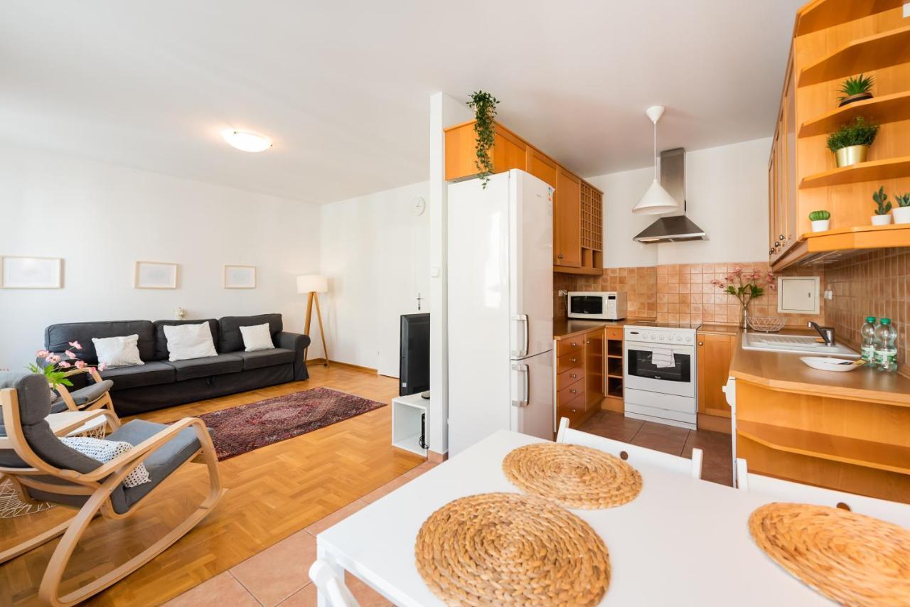 New Town Spacious Apartment 华沙 外观 照片